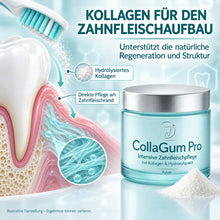 Lade das Bild in den Galerie-Viewer, CollaGum Pro – Kollagen-Zahnfleischpflege für Reparatur, Aufbau & Regeneration